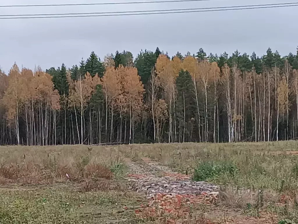 Участок в Новгородская область, Новгородский район, Савинское с/пос, ... - Фото 0