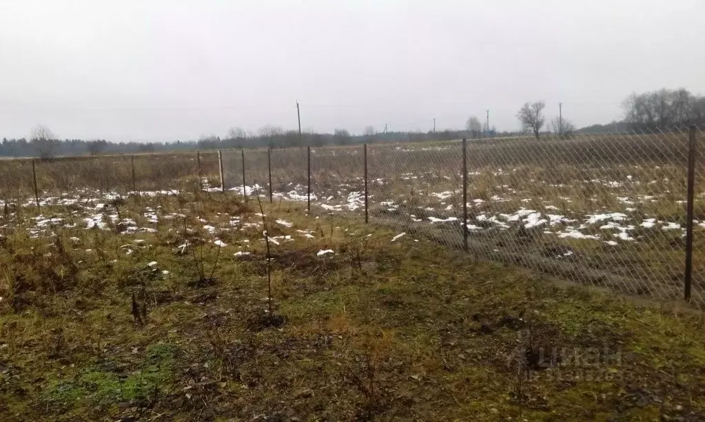 Участок в Ленинградская область, Ломоносовский район, Лопухинское ... - Фото 0