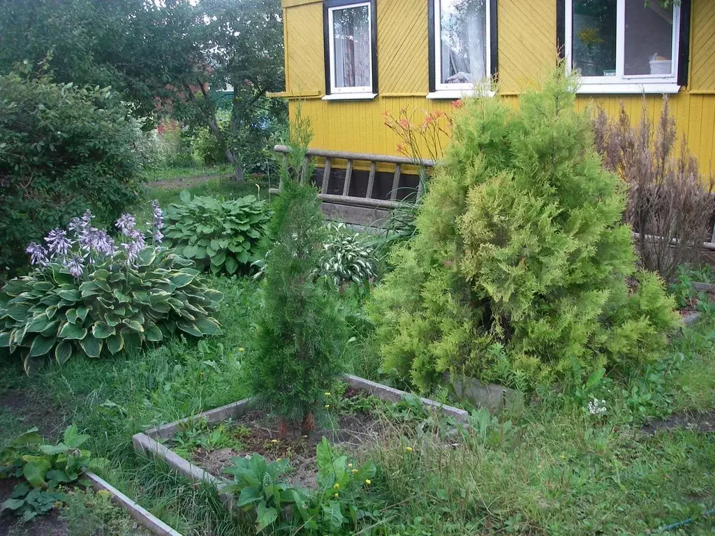 Дом 55 м на участке 9 сот. - Фото 1