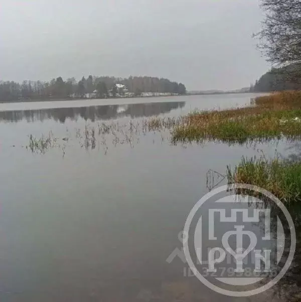 Участок в Ленинградская область, Лужский район, Скребловское с/пос, ... - Фото 1