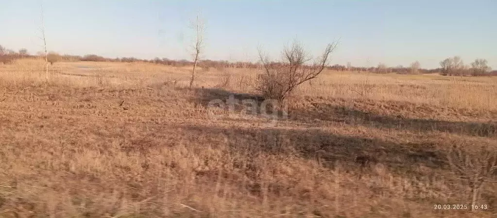 Участок в Волгоградская область, Среднеахтубинский район, Клетское ... - Фото 2