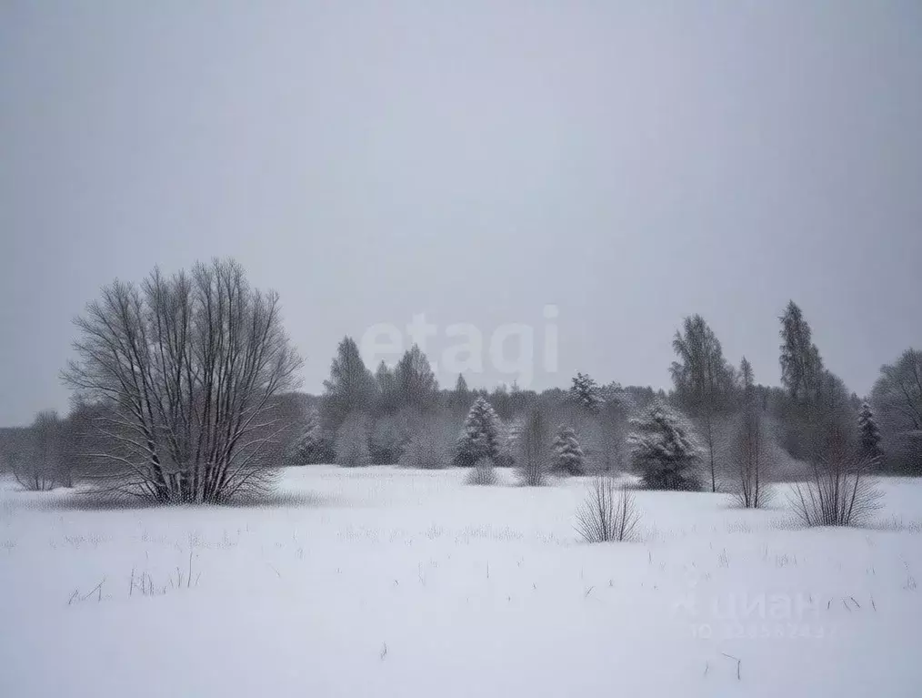 Участок в Ленинградская область, Кириши  (10.0 сот.) - Фото 1