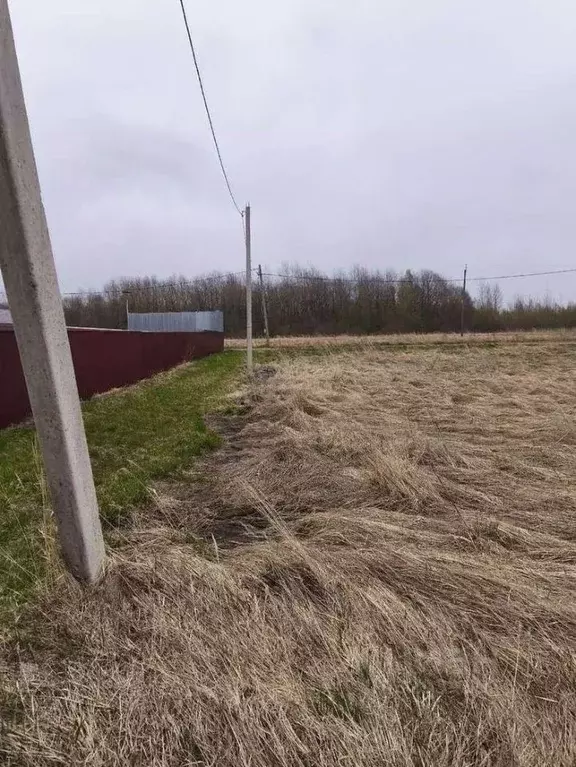 Участок в Новгородская область, Новгородский муниципальный район, ... - Фото 2