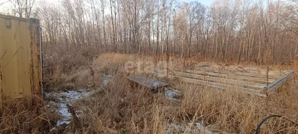 Участок в Хабаровский район, СНТ Южное (8.1 м) - Фото 0