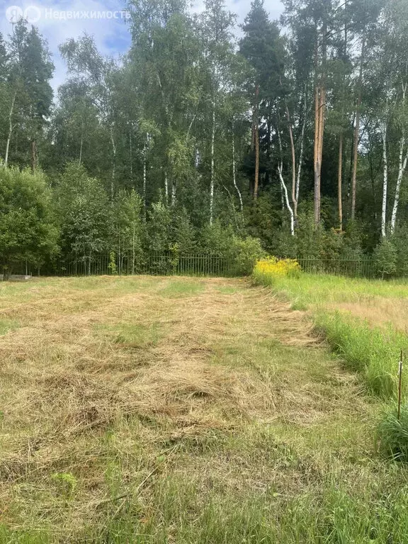 Участок в Нижегородская область, Бор (4.5 м) - Фото 2