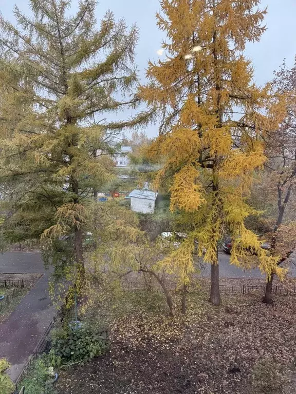 4-к кв. Нижегородская область, Балахна ул. Дзержинского, 82 (86.4 м) - Фото 2