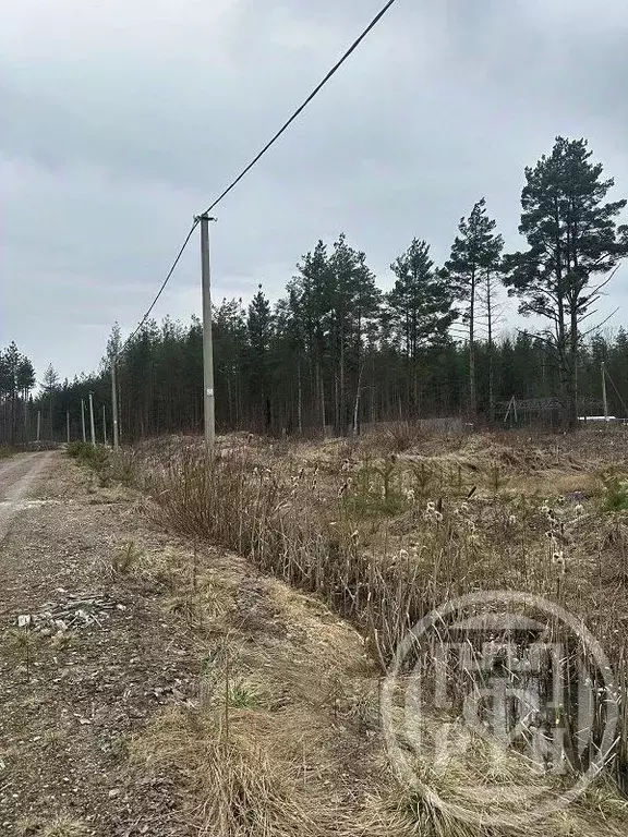 Участок в Ленинградская область, Ломоносовский район, Лебяженское ... - Фото 2