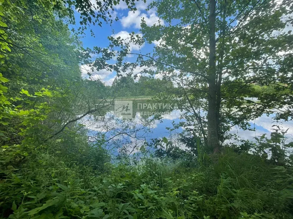 Продается участок в д. Ишино - Фото 2