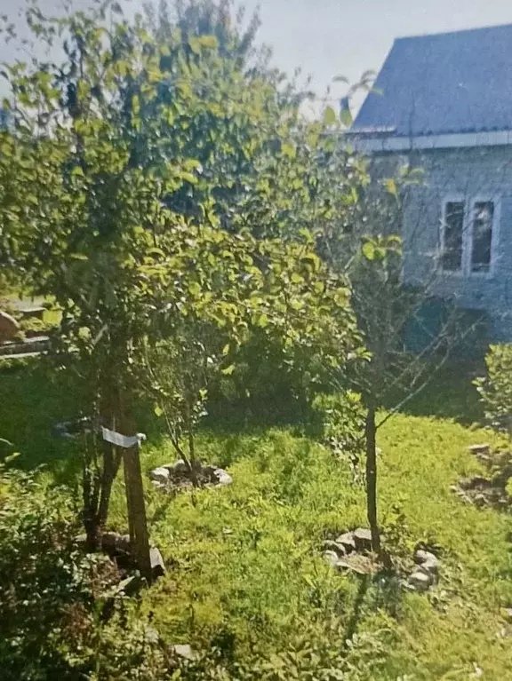 Участок в Московская область, Солнечногорск городской округ, д. ... - Фото 1