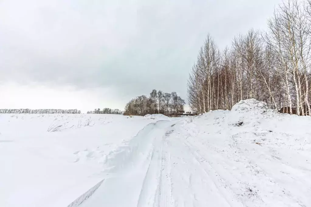 Участок в Новосибирская область, Бердск Марьин Лог СНТ,  (5.5 сот.) - Фото 0