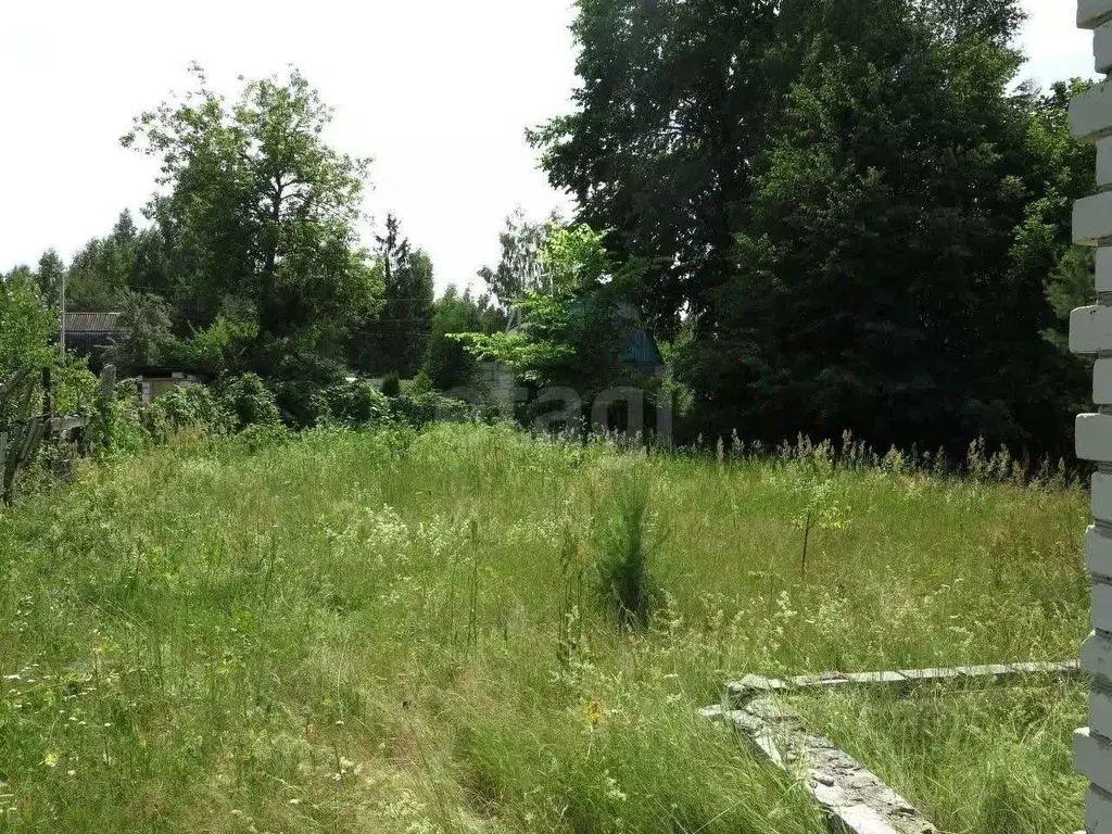 Участок в Брянская область, Брянск Верхнее садоводческое товарищество, ... - Фото 1