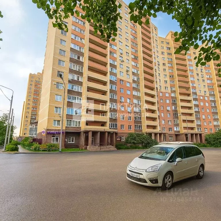 Студия Московская область, Балашиха городской округ, д. Павлино 69 ... - Фото 1