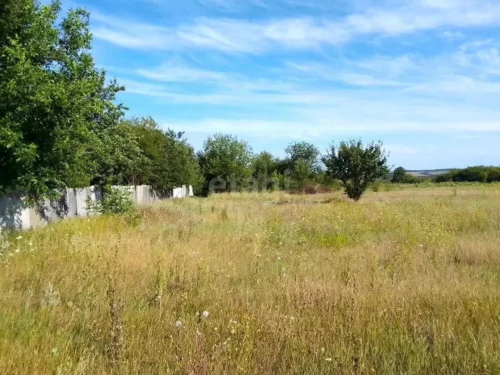 Участок в Белгородская область, Новооскольский муниципальный округ, с. ... - Фото 0