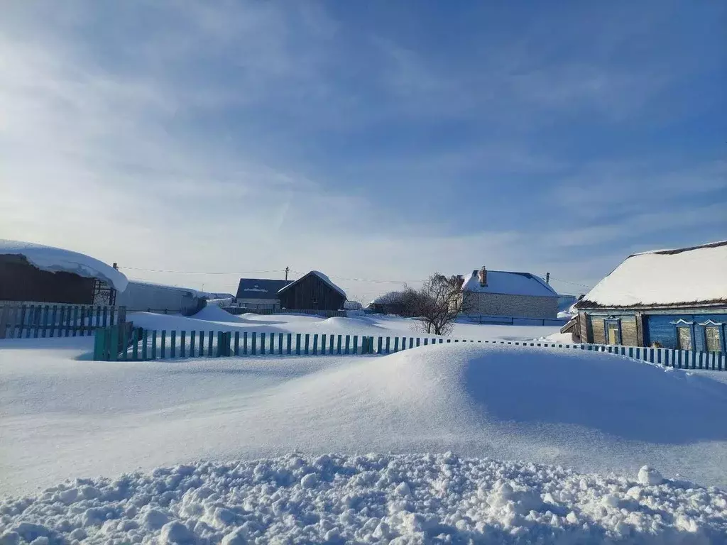 Участок в Татарстан, Лаишевский район, с. Кирби  (10.0 сот.) - Фото 2