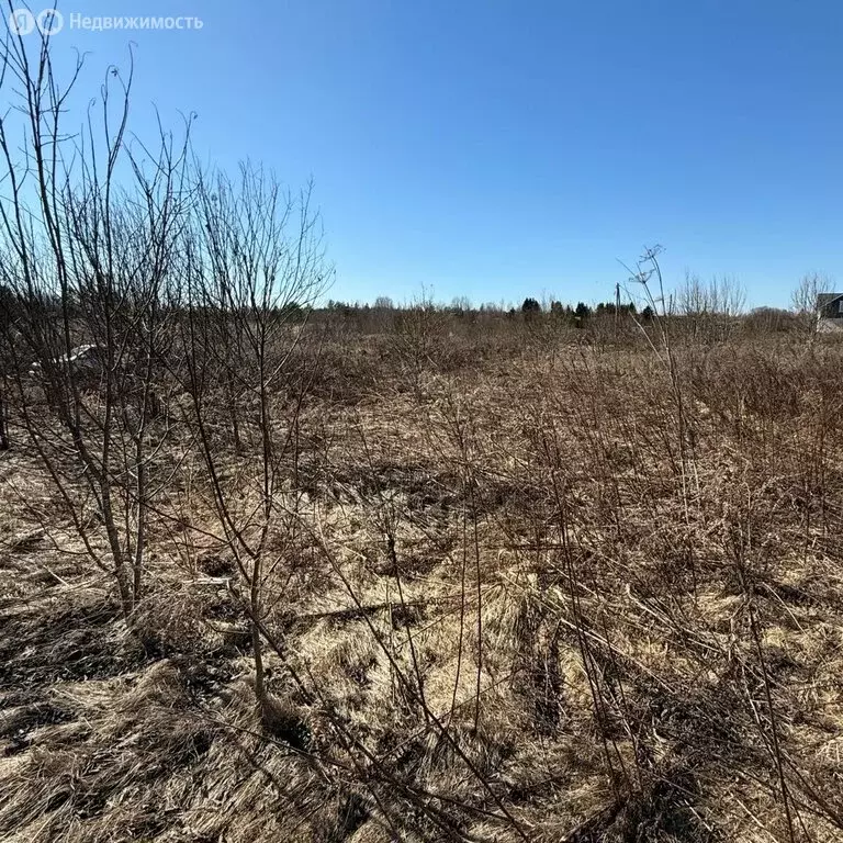 Участок в Ленинградская область, Гатчинский муниципальный округ, ... - Фото 1