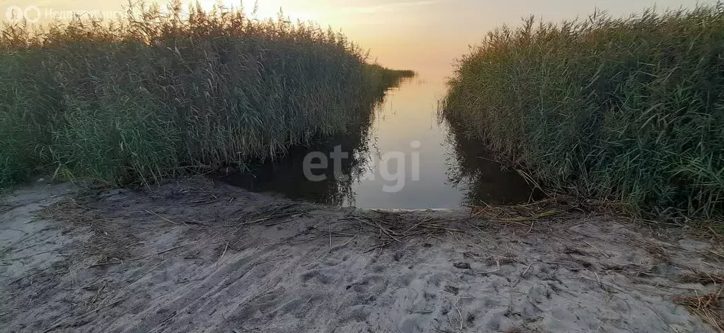 Участок в Калининградская область, Ладушкин (18.5 м) - Фото 0