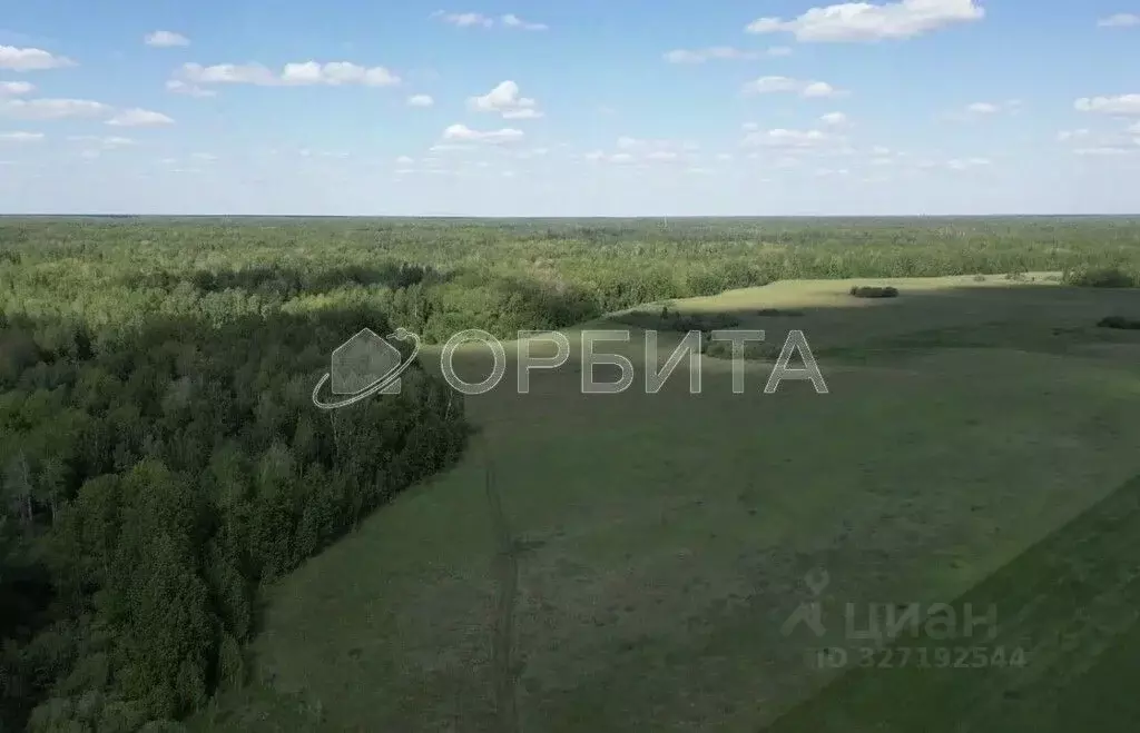 Участок в Тюменская область, Тюменский муниципальный округ, д. Елань  ... - Фото 2