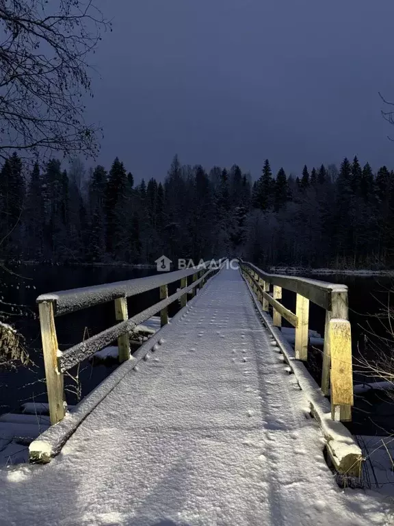 Участок в Карелия, Суоярвский муниципальный округ, пос. Игнойла  (15.0 ... - Фото 1