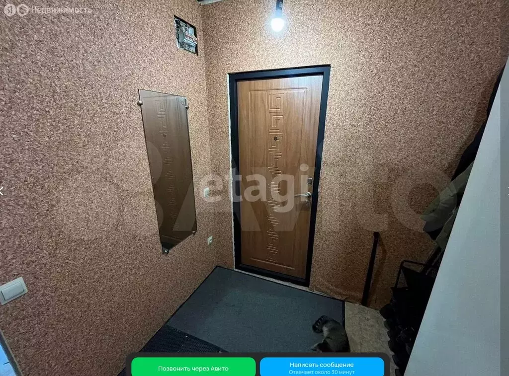 Квартира-студия: Томск, Алтайская улица, 163Б (17.7 м) - Фото 2