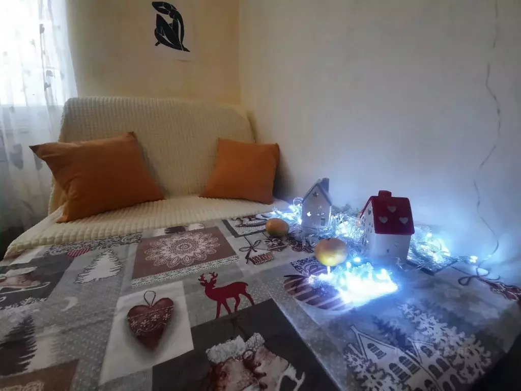 1-к кв. Самарская область, Жигулевск Пролетарская ул., 19 (21.0 м) - Фото 1