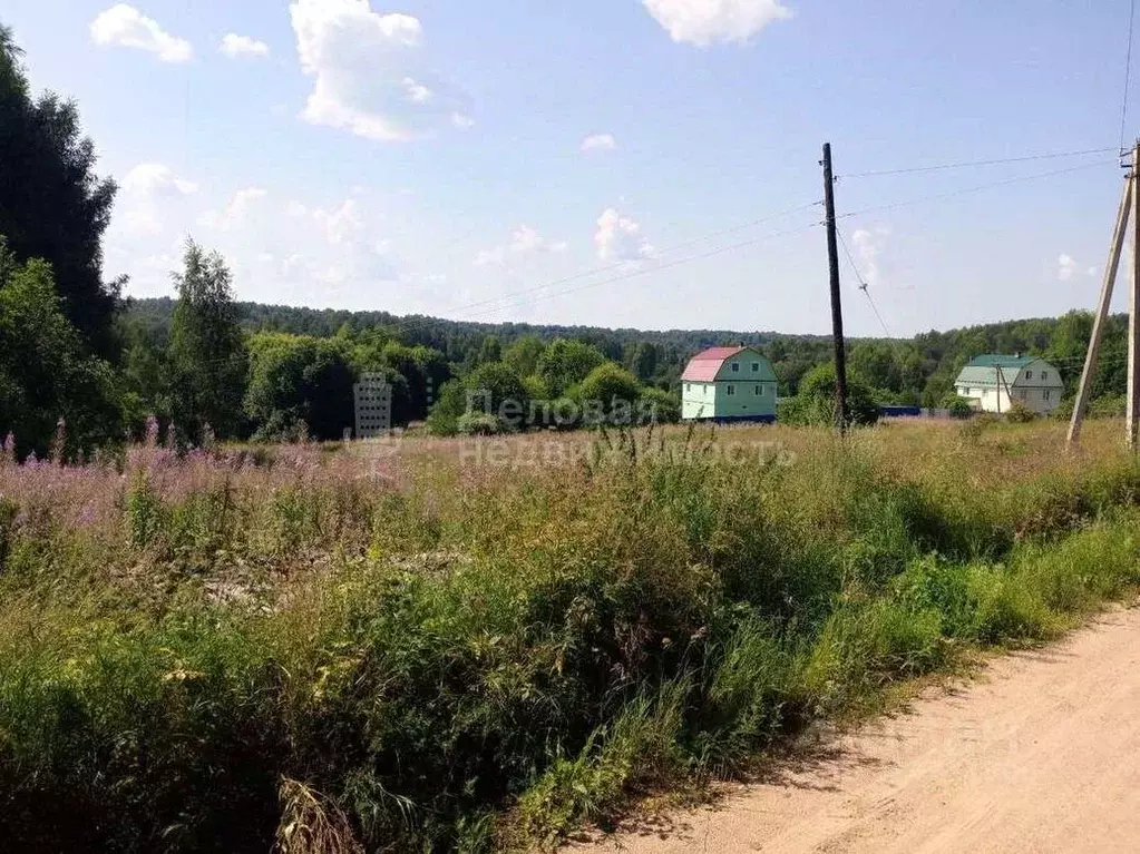 Участок в Новгородская область, Любытинское с/пос, д. Воймирицы  (15.0 ... - Фото 1