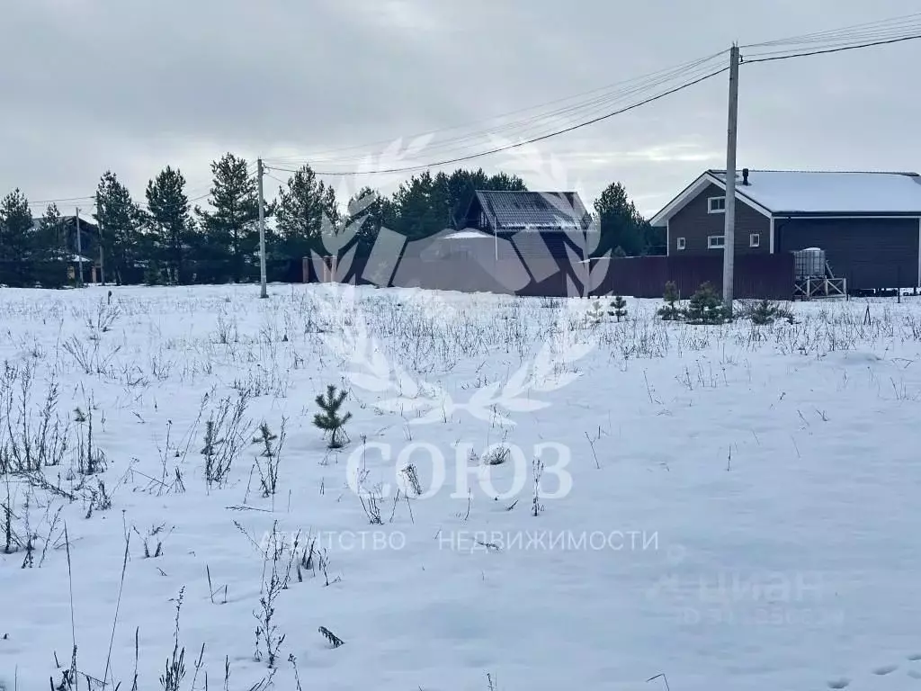 Участок в Калужская область, Дзержинский район, с. Дворцы ул. Луговая ... - Фото 0