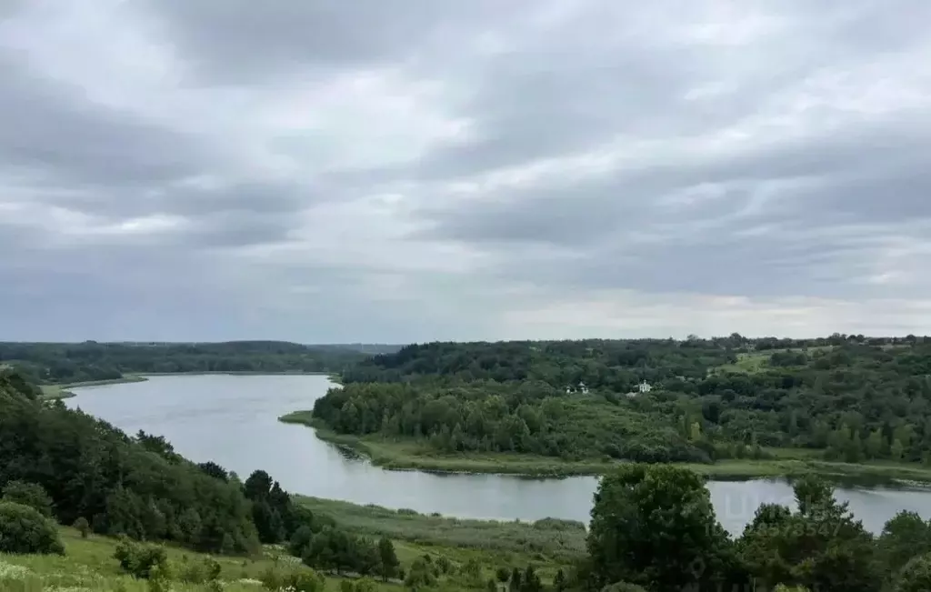Участок в Псковская область, Печорский муниципальный округ, д. Малы  ... - Фото 1