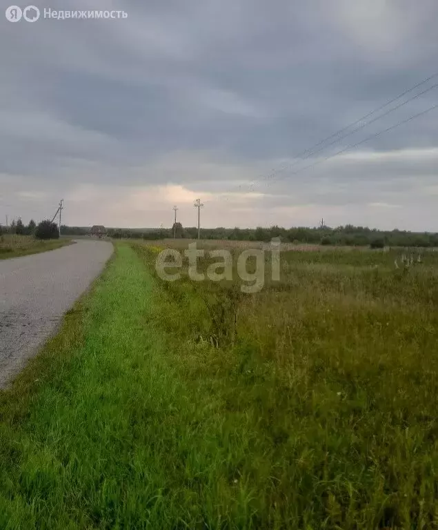 Участок в Томск, посёлок Родионово, Российская улица (15.5 м) - Фото 1