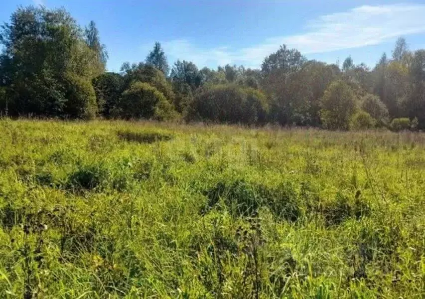 Участок в Ярославская область, Рыбинск ул. Федорова (12.7 сот.) - Фото 1