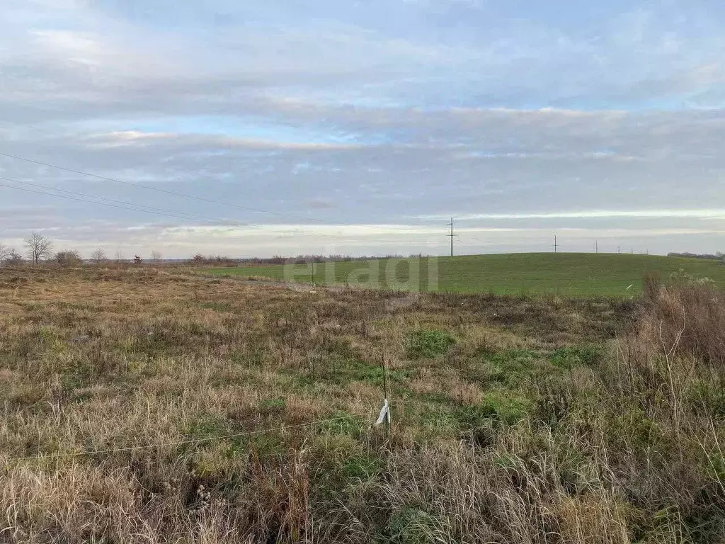 Участок в Калининградская область, Гурьевский муниципальный округ, ... - Фото 2