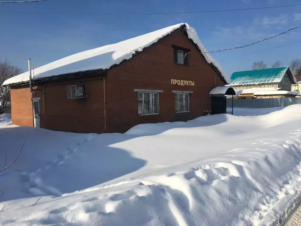 Участок в Пермский край, Пермь пос. Новые Ляды, ул. Куйбышева, 43 ... - Фото 0