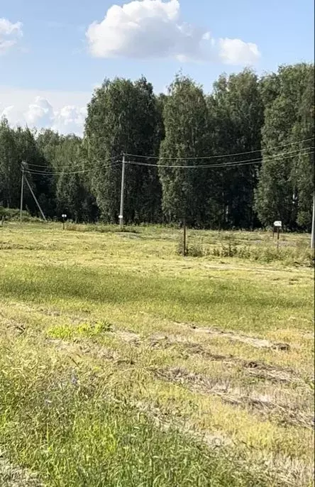 Участок в Свердловская область, Тугулымский городской округ, с. ... - Фото 1