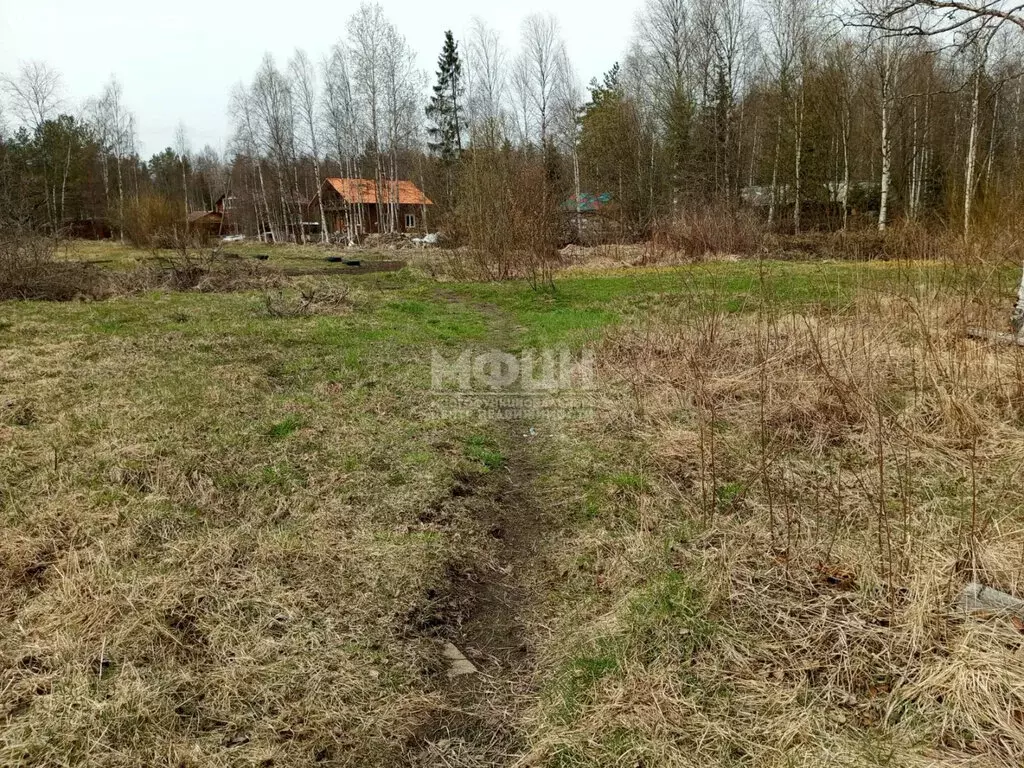 Участок в Чална, Октябрьская улица, 26 (15 м) - Фото 0