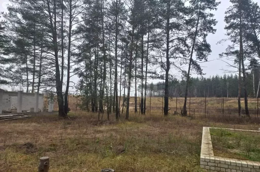 Участок в Рамонский район, Новоживотинновское сельское поселение, ... - Фото 2