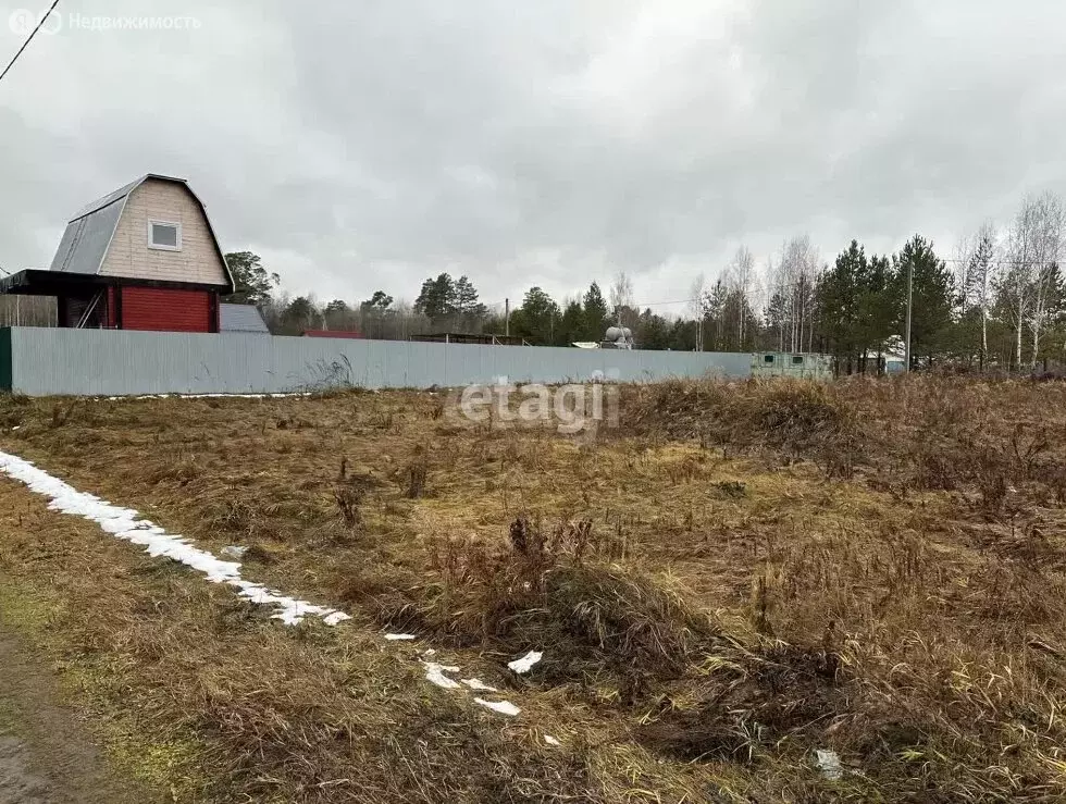 Участок в Тюменский район, деревня Головина (11 м) - Фото 1