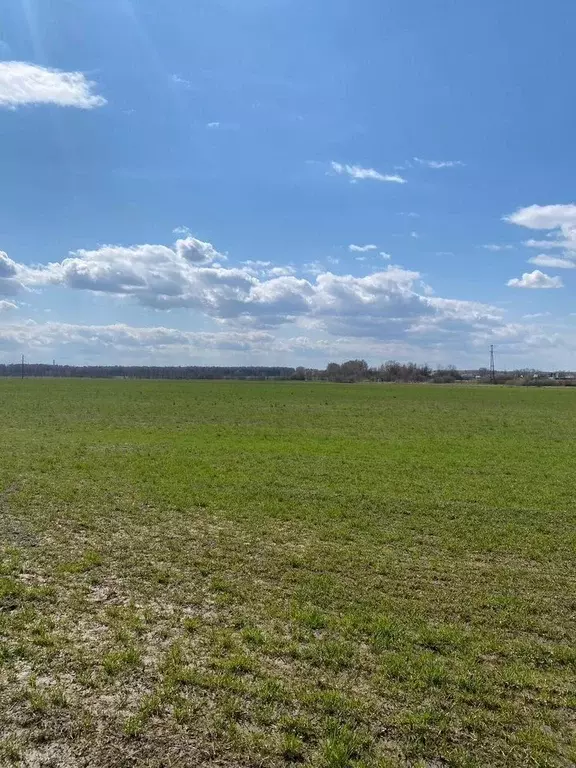 Участок в Московская область, Раменский муниципальный округ, Анюта ТСН ... - Фото 1