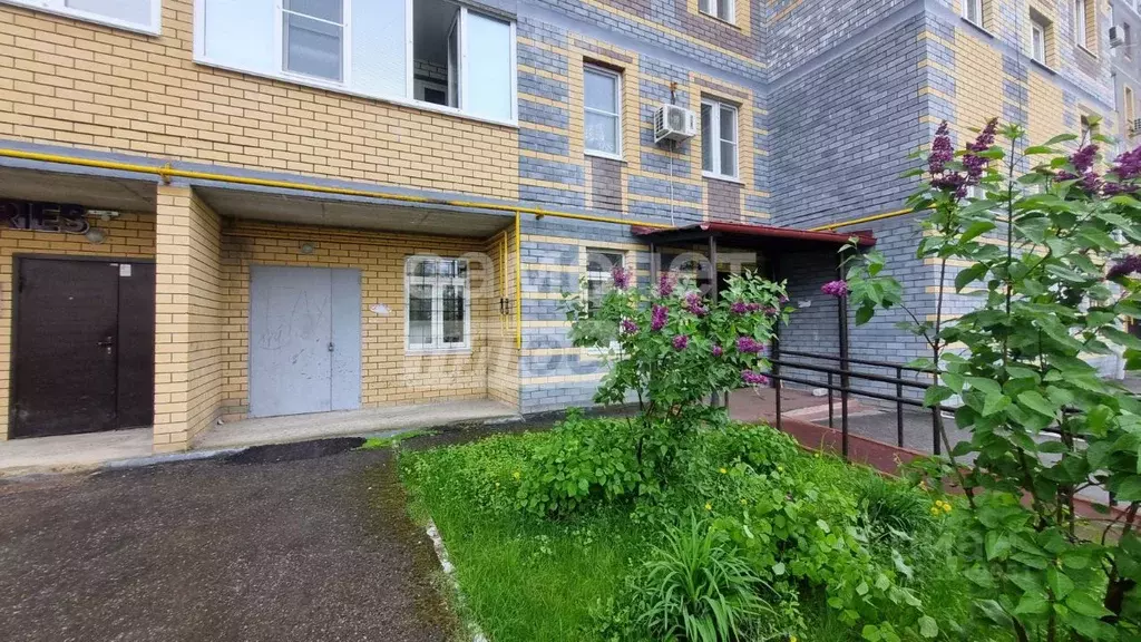 Помещение свободного назначения в Нижегородская область, Бор ул. ... - Фото 1