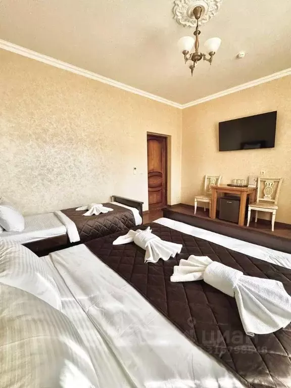 Комната Краснодарский край, Сириус пгт ул. Веселая, 36А (25.0 м) - Фото 1