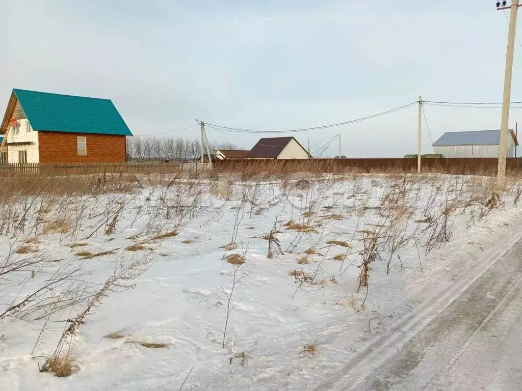 Участок в Новосибирская область, Колыванский район, с. Скала ул. ... - Фото 1