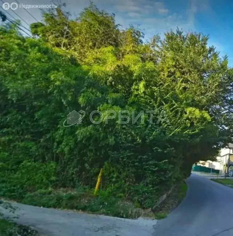 Участок в Сочи, Адлерский район (8 м) - Фото 2