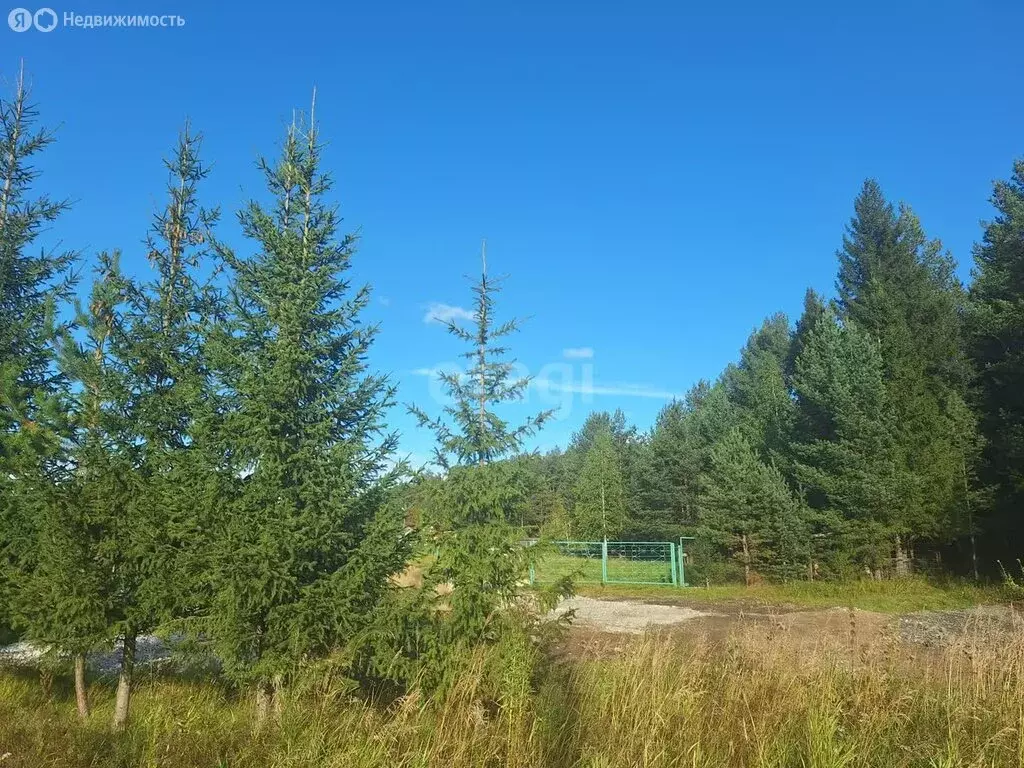 участок в горноуральский городской округ, село шиловка, улица ленина . - Фото 0