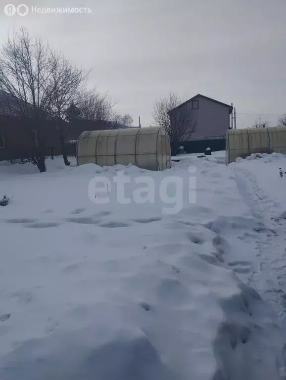 Дом в Новосибирск, СНТ Новая Сибирь (30 м) - Фото 0