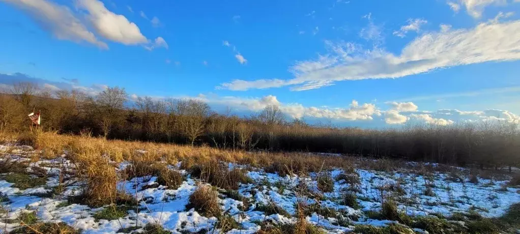 Участок в Краснодарский край, Северский район, Азовское с/пос, ... - Фото 2