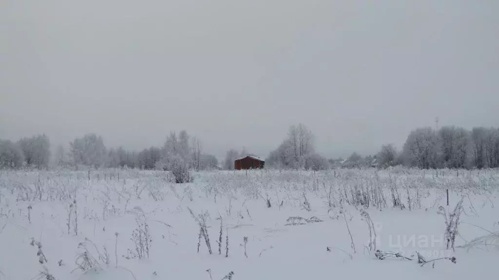 Участок в Московская область, Рузский муниципальный округ, д. Ватулино ... - Фото 1