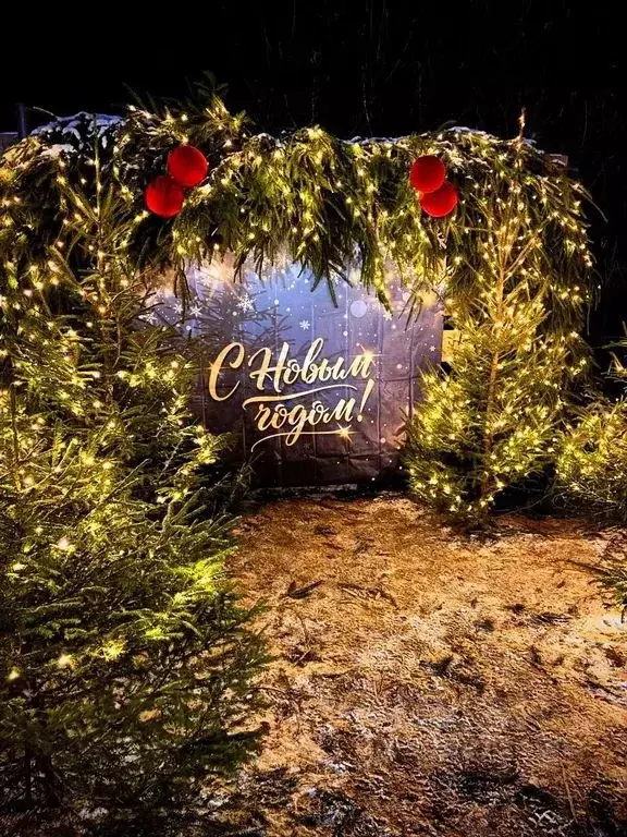 Дом в Тверская область, Торопецкий муниципальный округ, Дубки СТ 32 ... - Фото 2