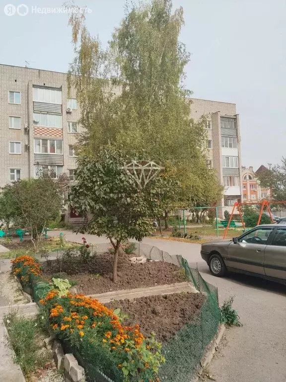 3-комнатная квартира: Елец, улица Мира, 6 (58.9 м) - Фото 0