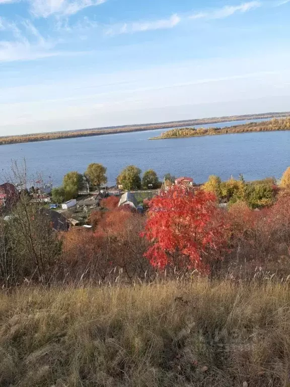 Участок в Нижегородская область, Лысковский район, с. Бармино Полевая ... - Фото 0