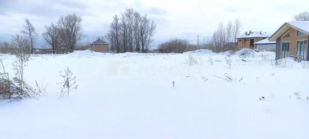 Участок в Алтайский край, Первомайский район, с. Фирсово ул. Яркая ... - Фото 0