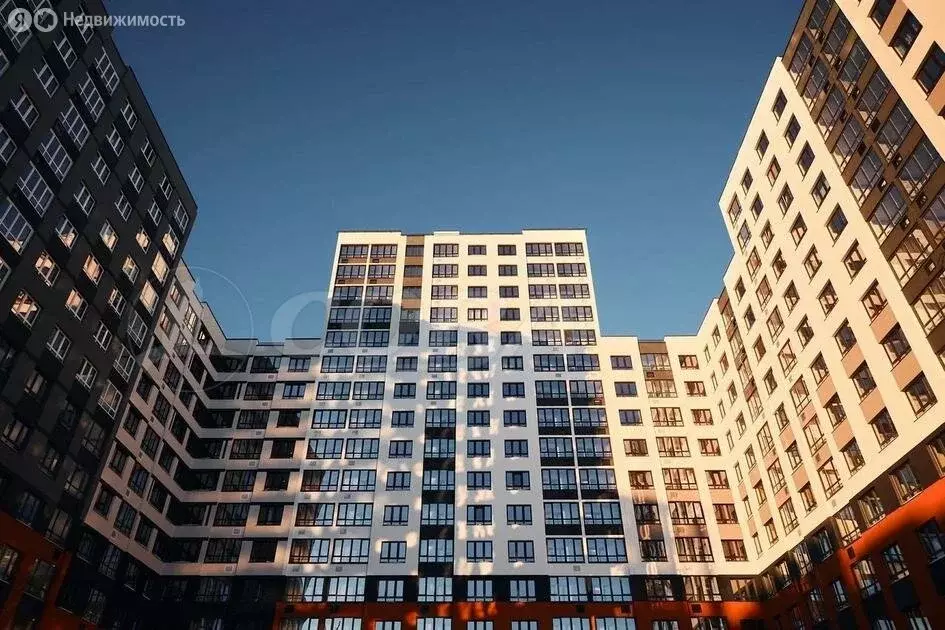 Квартира-студия: деревня Патрушева, улица Петра Ершова, 14 (24 м) - Фото 2