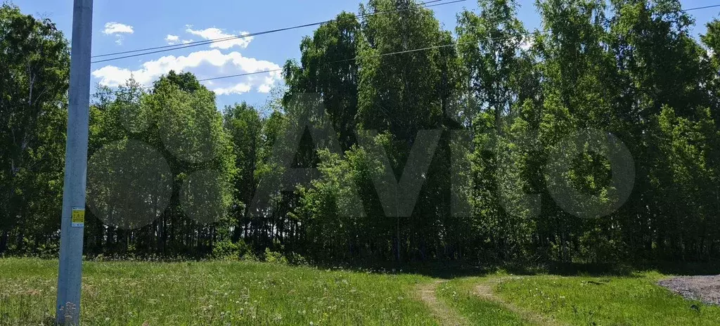 Участок 6 сот. (СНТ, ДНП) - Фото 1